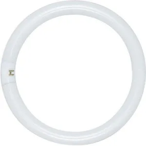 Satco S2954 Fluorescent Circline T9